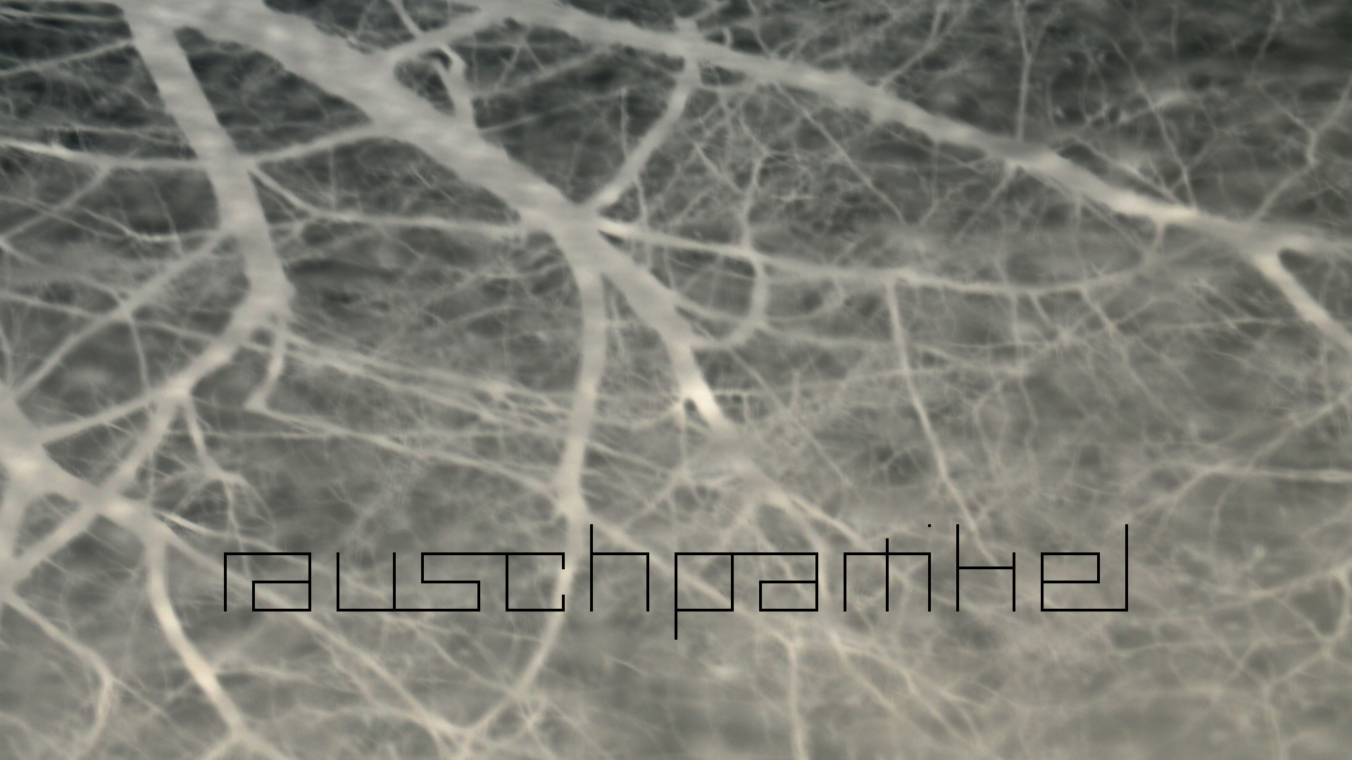 2021-01-06 - 08 Kühlgeträt (On/Off) (Remix John Cage - Empty Words IV)